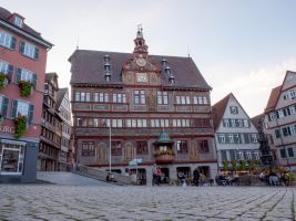 Tubingen 4