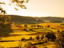 Salmendingen am Morgen DiRo 63