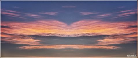 F2216442 446 HDR 1 k