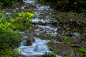 TalheimerWasserfall 02 20210717 P7170417