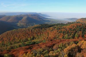 Albtrauf bei Oschingen 