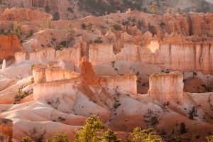 Bryce Canyon 8133